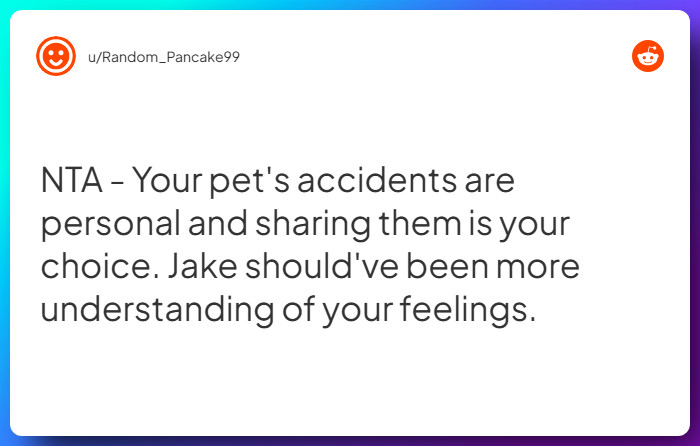 Comment from u/Random_Pancake99