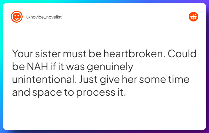 Comment from u/novice_novelist