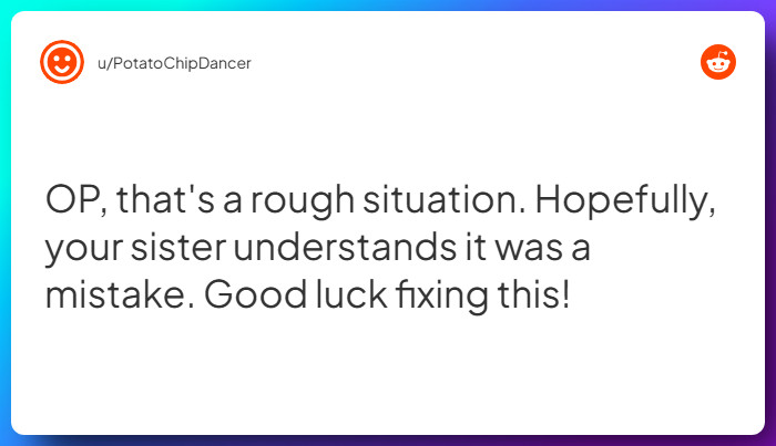 Comment from u/PotatoChipDancer