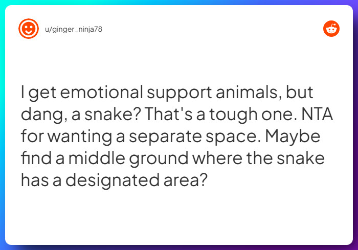 Comment from u/ginger_ninja78