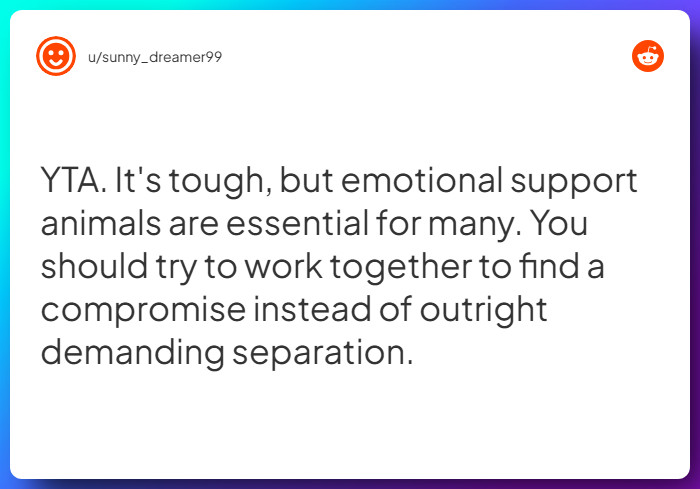 Comment from u/sunny_dreamer99