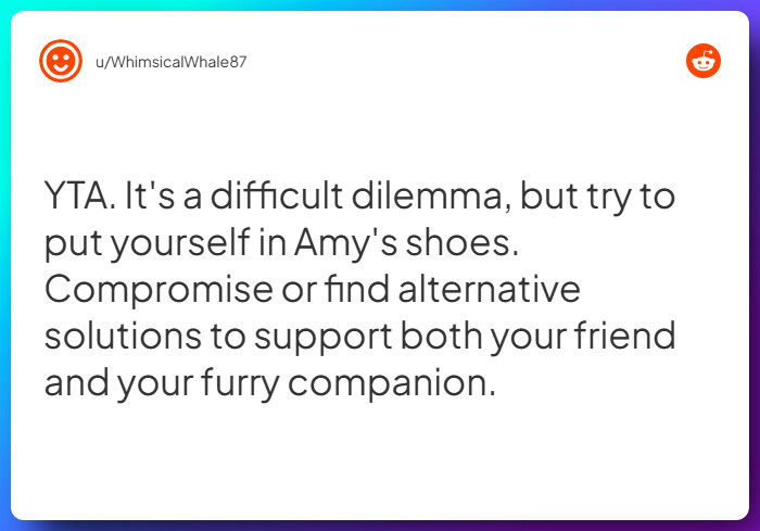 Comment from u/WhimsicalWhale87