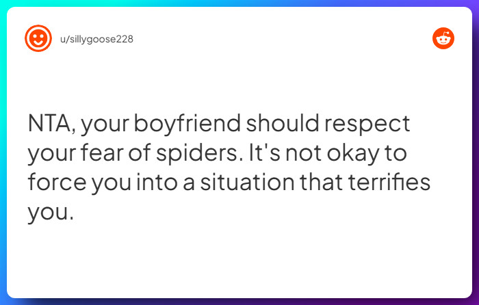 Comment from u/sillygoose228