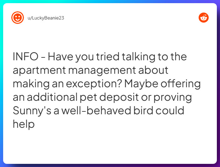 Comment from u/LuckyBeanie23