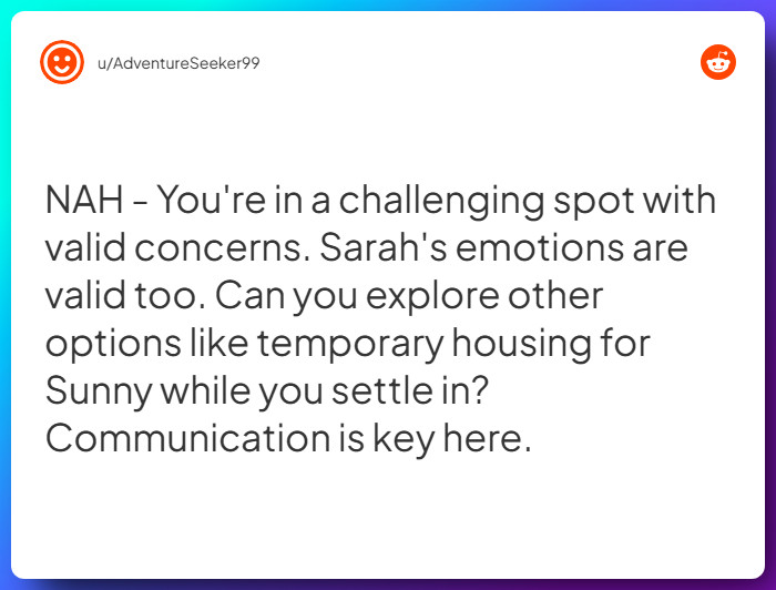 Comment from u/AdventureSeeker99