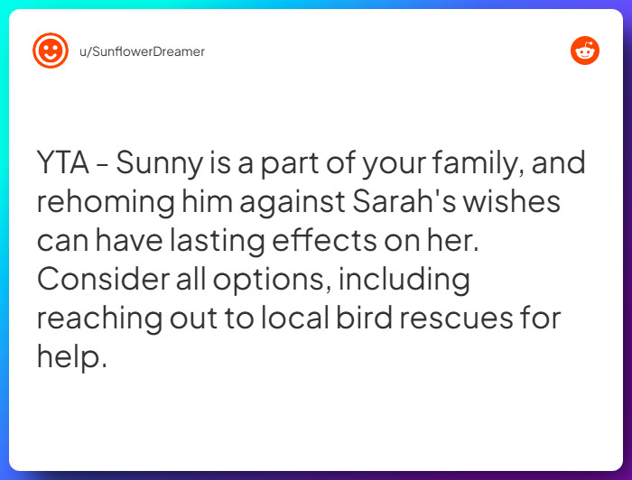 Comment from u/SunflowerDreamer