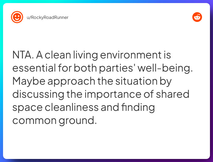 Comment from u/RockyRoadRunner