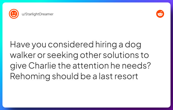 Comment from u/StarlightDreamer