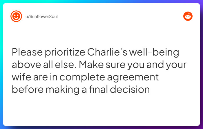 Comment from u/SunflowerSoul