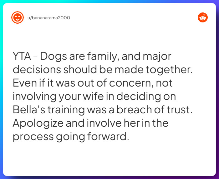 Comment from u/bananarama2000