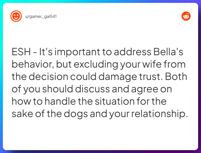 Comment from u/gamer_gal541