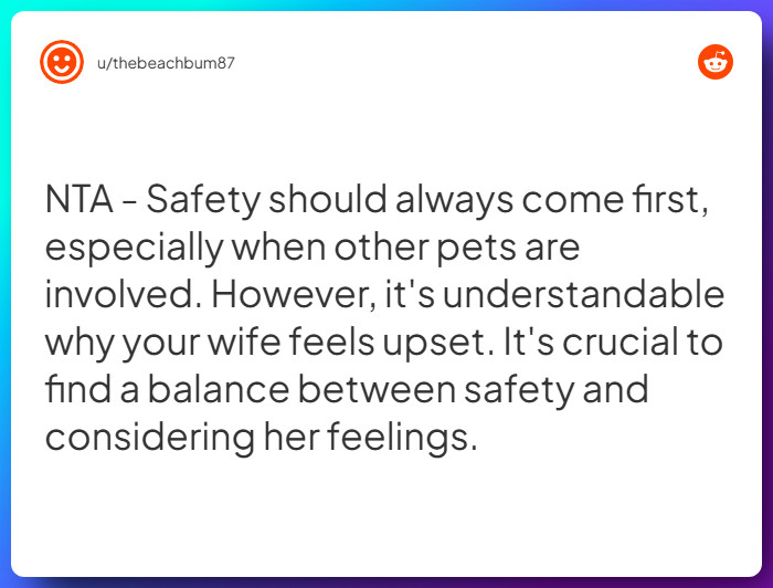 Comment from u/thebeachbum87