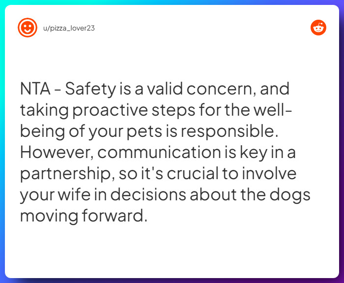 Comment from u/pizza_lover23