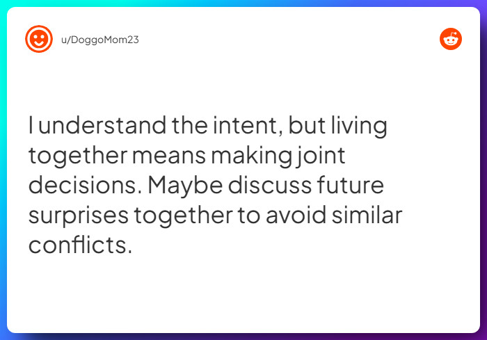 Comment from u/DoggoMom23