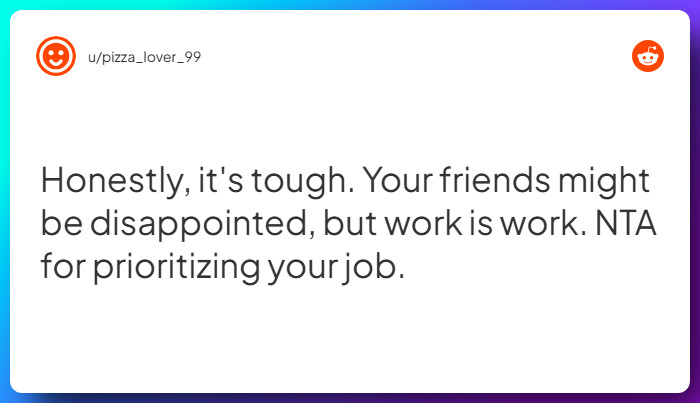 Comment from u/pizza_lover_99