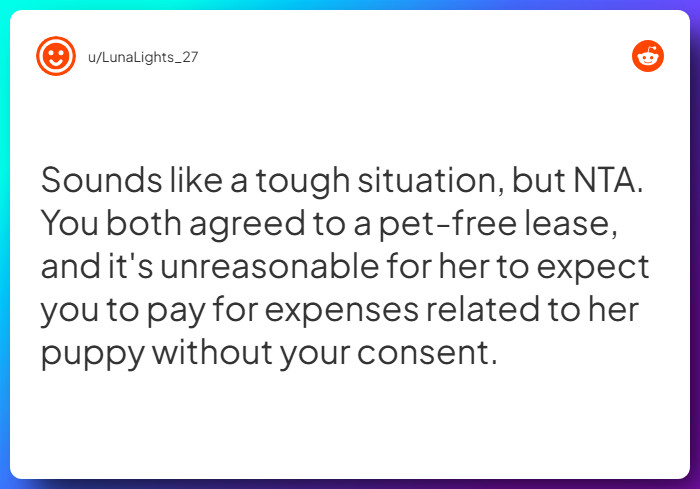 Comment from u/LunaLights_27