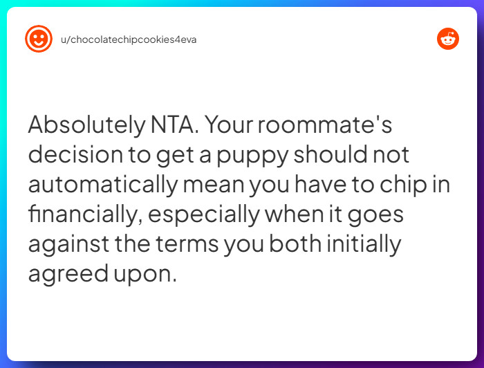 Comment from u/chocolatechipcookies4eva