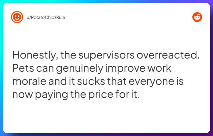 Comment from u/PotatoChipzRule