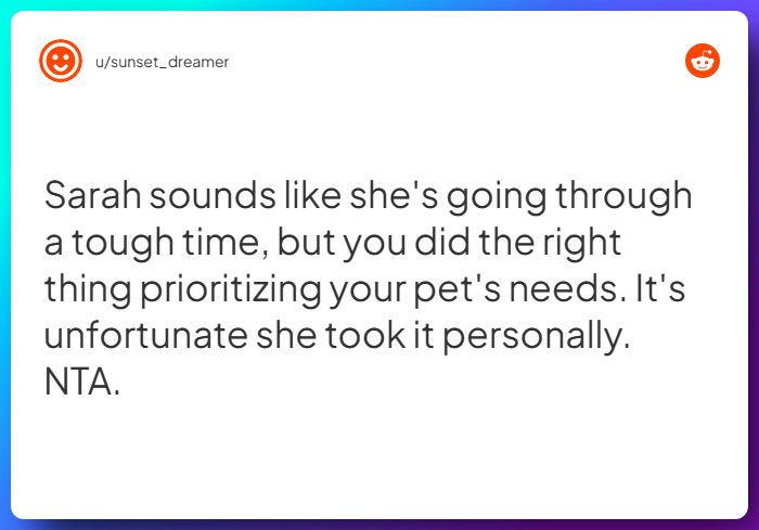 Comment from u/sunset_dreamer