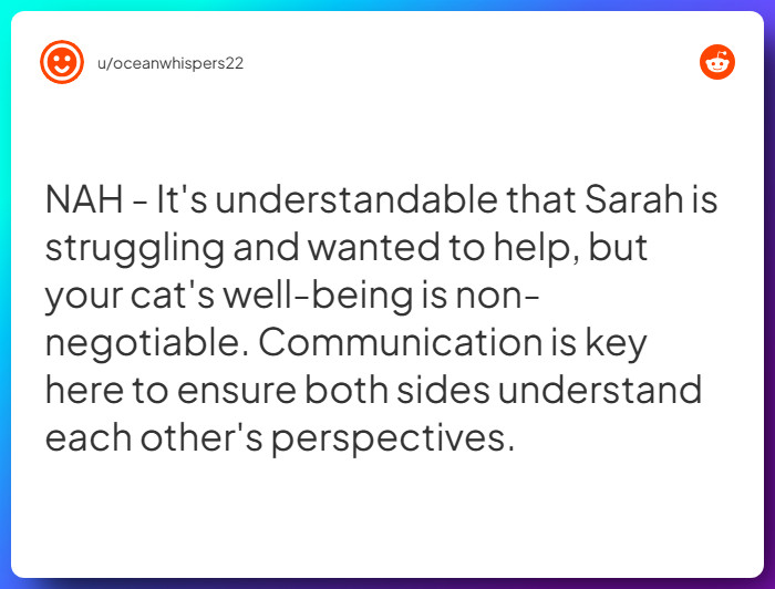 Comment from u/oceanwhispers22