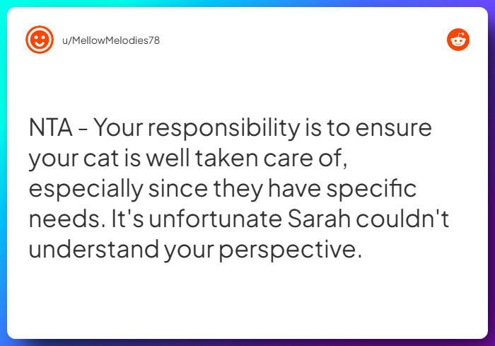 Comment from u/MellowMelodies78