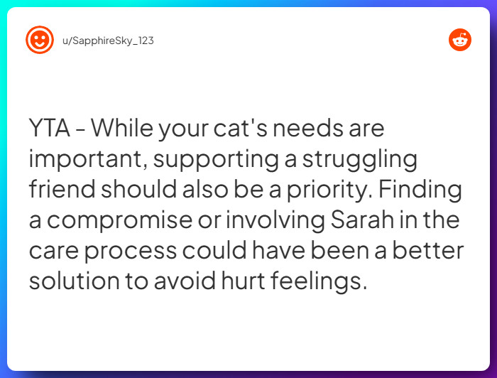 Comment from u/SapphireSky_123