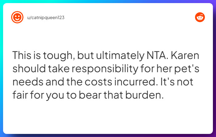 Comment from u/catnipqueen123