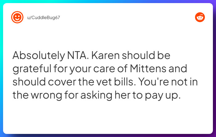 Comment from u/CuddleBug67