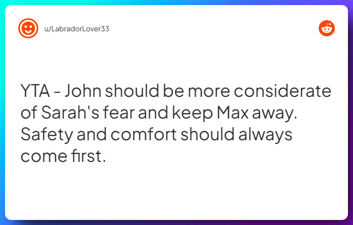 Comment from u/LabradorLover33