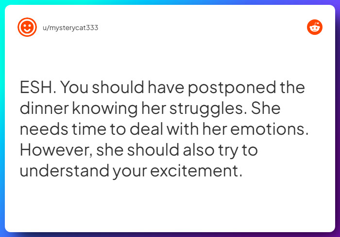 Comment from u/mysterycat333