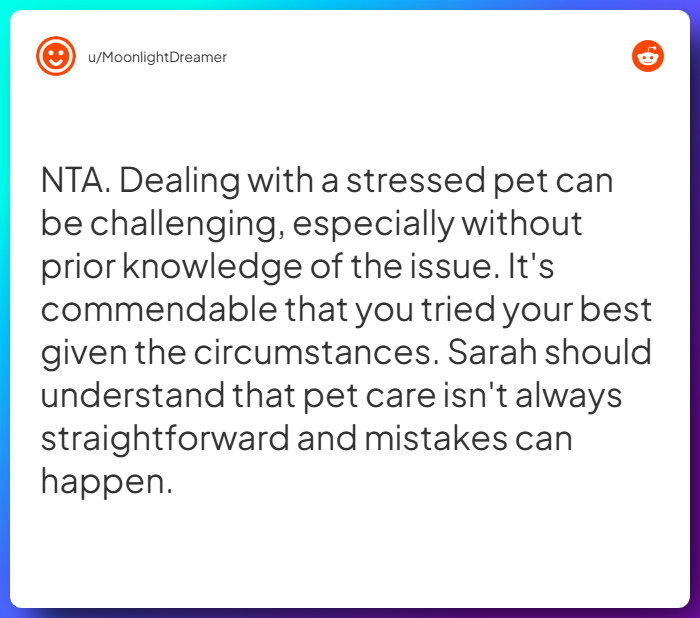 Comment from u/MoonlightDreamer