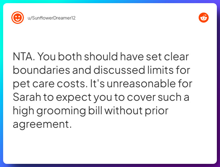 Comment from u/SunflowerDreamer12