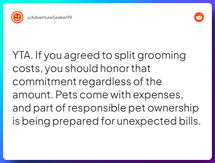 Comment from u/AdventureSeeker99