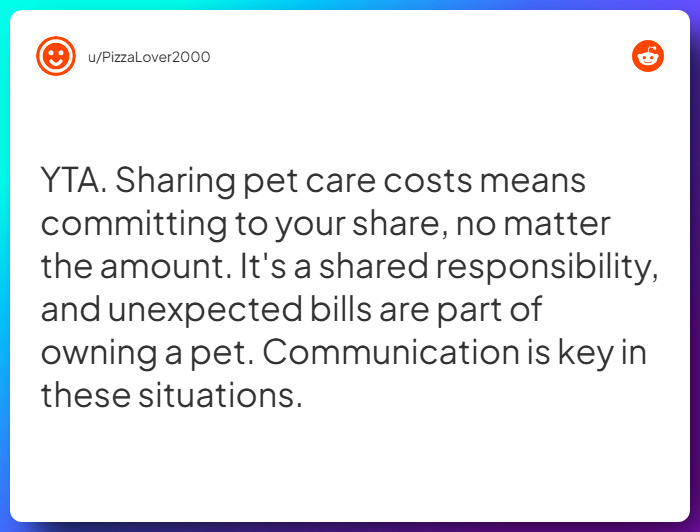 Comment from u/PizzaLover2000