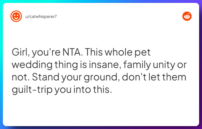 Comment from u/catwhisperer7