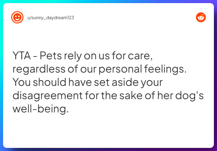 Comment from u/sunny_daydream123