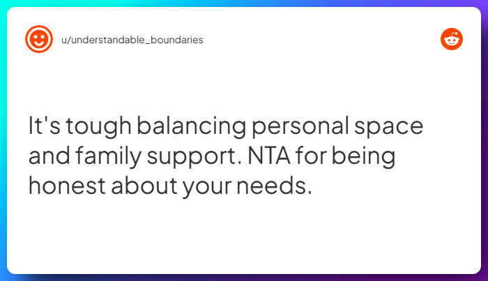 Comment from u/understandable_boundaries