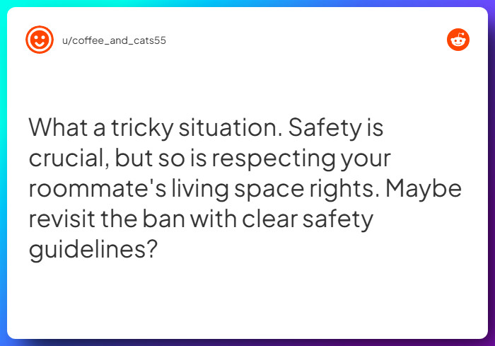 Comment from u/coffee_and_cats55