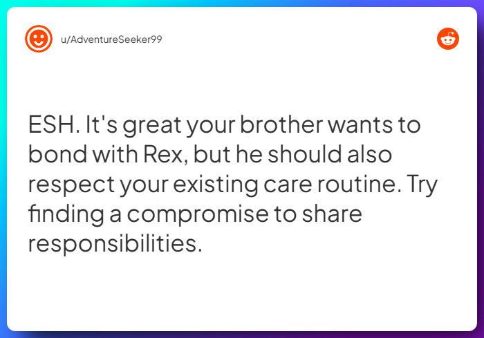 Comment from u/AdventureSeeker99