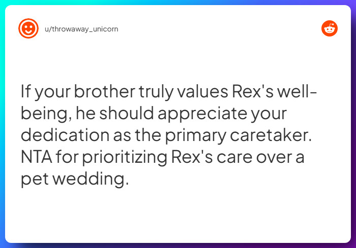 Comment from u/throwaway_unicorn