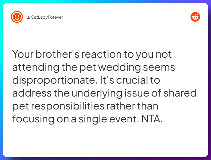 Comment from u/CatLadyForever