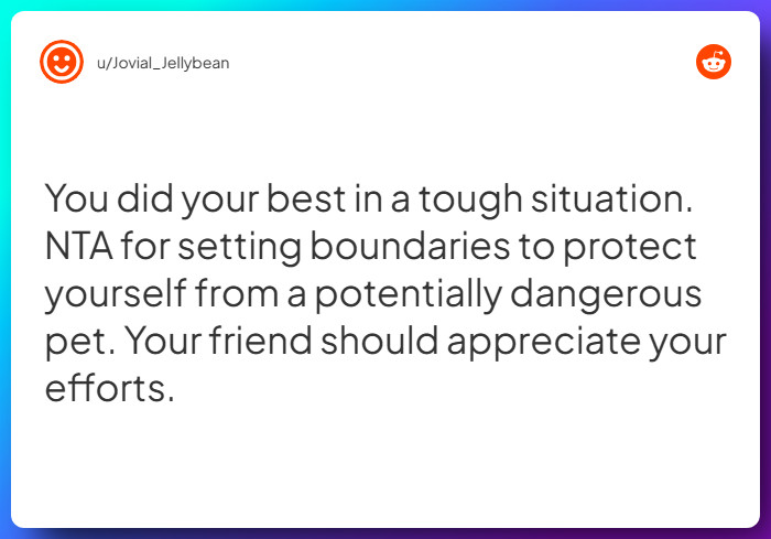 Comment from u/Jovial_Jellybean