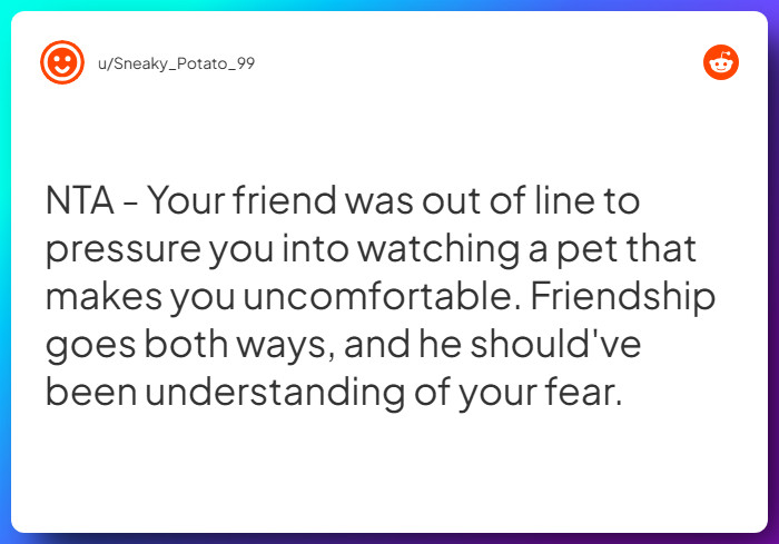 Comment from u/Sneaky_Potato_99