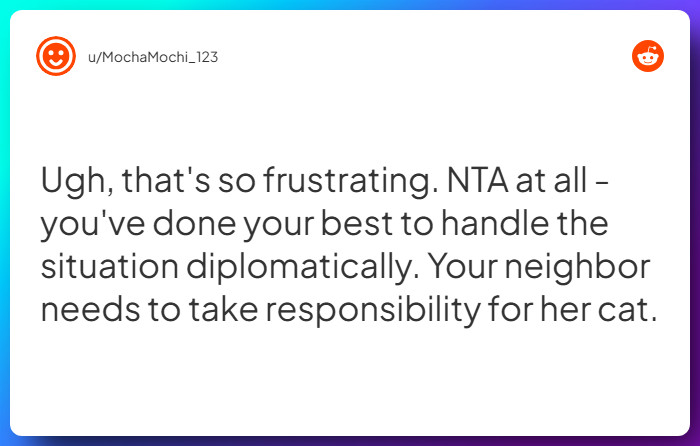 Comment from u/MochaMochi_123