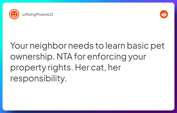 Comment from u/RisingPhoenix22