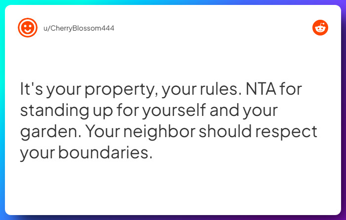 Comment from u/CherryBlossom444