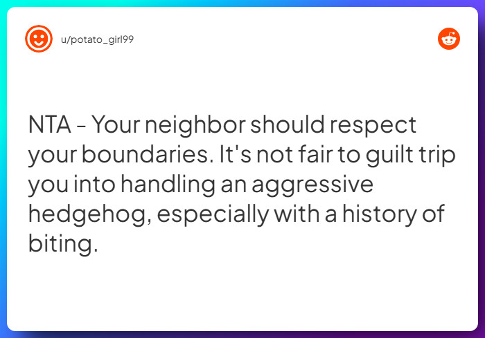 Comment from u/potato_girl99