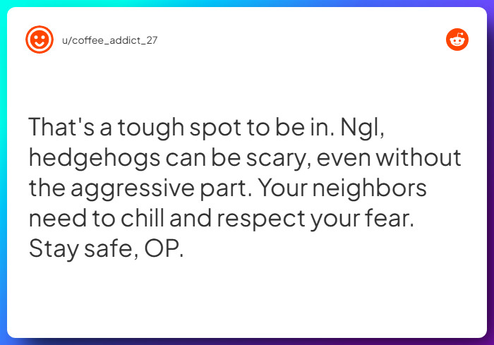 Comment from u/coffee_addict_27