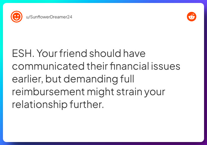 Comment from u/SunflowerDreamer24