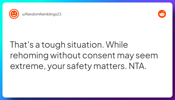 Comment from u/RandomRamblings23